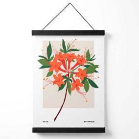 Orange Firecracker Plant Flower Market Simplicity Medium Poster with Black Hanger