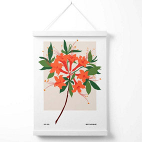 Orange Firecracker Plant Flower Market Simplicity Poster with Hanger / 33cm / White