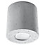 Orbis Concrete Grey 1 Light Classic Ceiling Light