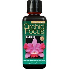 Orchid Focus Bloom 300ml complete feed