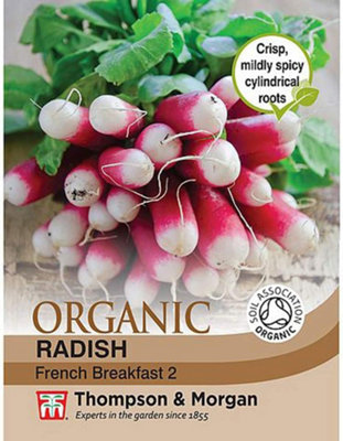 Organic Radish French Breakfast 1 Seed Packet (450 Seeds)