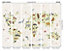 Origin Murals Children's World Map Natural Matt Smooth Paste the Wall 300cm wide x 240cm high