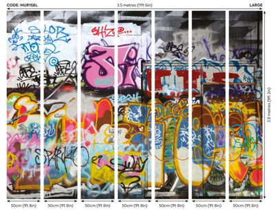 Origin Murals Graffiti Street Art Matt Smooth Paste the Wall Mural 350cm wide x 280cm high