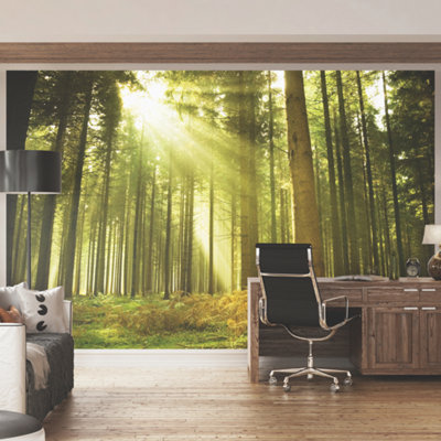 Origin Murals Green Sunlight Through Trees Matt Smooth Paste the Wall Mural 350cm wide x 280cm high