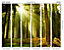 Origin Murals Sunlight Through Trees Forest Scene Matt Smooth Paste the Wall Mural 300cm wide x 240cm high