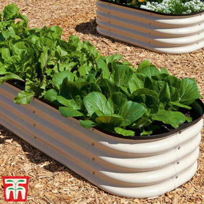 Original Veggie Bed Paperbark Garden Planting Merino White Vegetable Steel Planter 1x Veg Bed