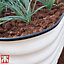 Original Veggie Bed Paperbark Garden Planting Merino White Vegetable Steel Planter 1x Veg Bed