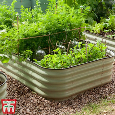 Original Veggie Bed Sage Garden Planting Mist Green Vegetable Steel Planter Easy to Grow our Own 1x Veg Bed (Mist Green)