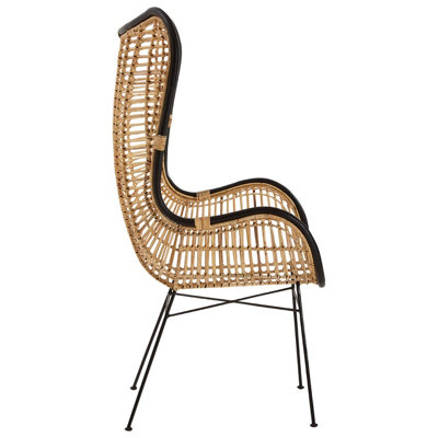 Orsina Natural Rattan Egg Chair, Rustless Metal Rattan Chair, Easy ...