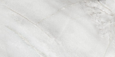 Otto Matt Ceramic Wall Tile 300x600mm - Pack of 8