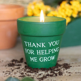 Outdoor Citronella Green Plant Pot Candle H9.5cm