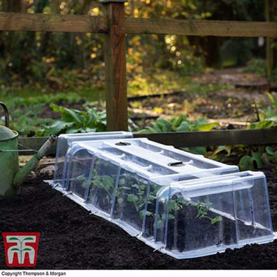 Outdoor Garden Cloche Mini Greenhouse Growing Tunnel for Vegetables, Protects Young Plants & Crops & Reduces Pest Damage (x6)