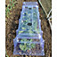 Outdoor Garden Cloche Mini Greenhouse Growing Tunnel for Vegetables, Protects Young Plants & Crops & Reduces Pest Damage (x6)