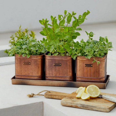 Outdoor Hampton Herb Planters with Tray (Set of 3) - Metal - L15 x W42 x H14 cm - Copper