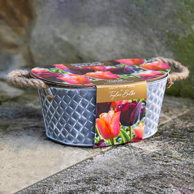 Outdoor Metal Trough Tulip Planter plus bulbs and compost DIY at B&Q
