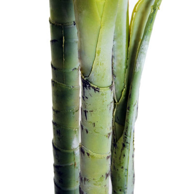 Outsunny 150cm(5ft) Palm Tree Artificial Faux Decor Green Plant Home Office - 8