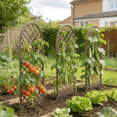 Outsunny Garden Trellis, Decorative Trellis Panels with Dome Top, Natural