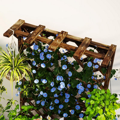 Outsunny Wooden Planter with Trellis and Drainage Holes, Carbonised