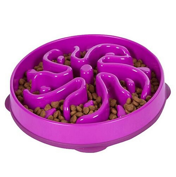 Outward Hound Dog Food Bowl Fun Feeder Slow Bowl, Slow Feeder Large Purple