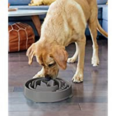 Outward Hound Dog Food Bowl Fun Feeder Slow Bowl, Slow Feeder Medium Grey
