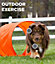 Outward Hound Dog Pet Agility Training Equipment Backyard Starter Course Set