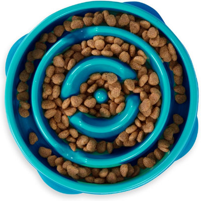Outward Hound Dog Slow Feeder Food Bowl Interactive Maze Treat Turquoise Large Price Comparisons | Compare The Build