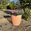 Oxford Planter - Weather Resistant Recycled Plastic Textured Stripe Garden Flower Plant Pot - Terracotta, H30 x 35cm Diameter