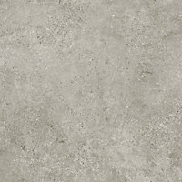Oxley Grey Concrete Vinyl by Remland (7.00 m x 3.00 m)