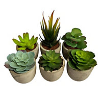 Oypla Set of 6 Artificial Succulent Mini Cactus Grass Plants Indoor Decoration