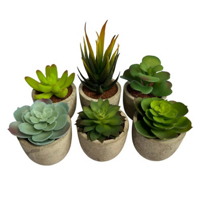 Oypla Set of 6 Artificial Succulent Mini Cactus Grass Plants Indoor