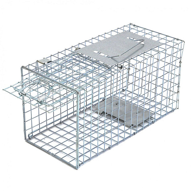 Oypla Small Humane Animal Rodent Rat Pest Trap Cage - 41 x  x  |  DIY at B&Q