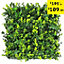 Pack of 12 Best Artificial Ivy Fern Hedging 50cm x 50cm Mats (3 Square Metres)
