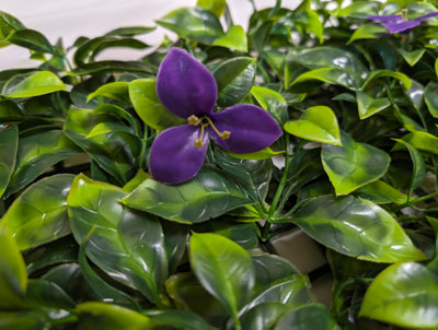 Pack of 12 Best Artificial Laurel Leaf Purple Hedging 50cm x 50cm Mats (3 Square Metres)
