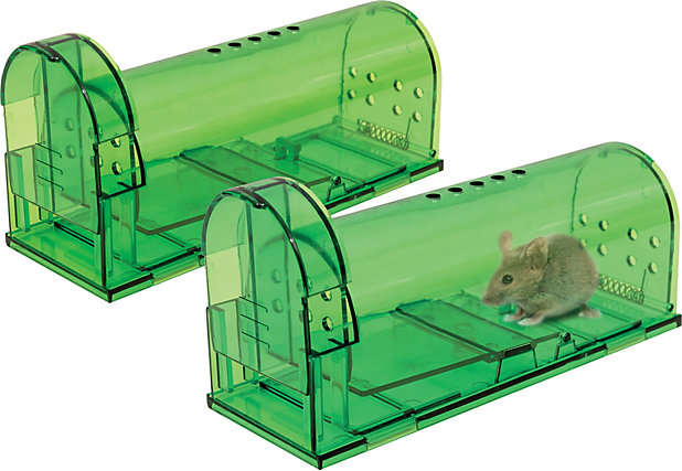 Pack of 2 Indoor Outdoor Small Humane Mice Mouse Rat Rodent Trap Catcher  Cage