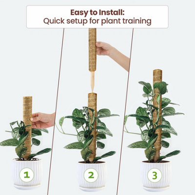 Pack Of 2 Natural Coir Moss Pole Sticks