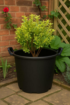 Pack of 3 - 30 Litre Heavy Duty Large Plastic Plant Pots with Handles -  Outdoor Garden Planters