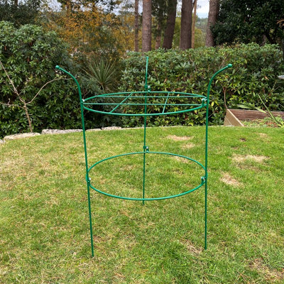 Pack of 3 Peony Circular Metal Plant Supports (73cm) DIY at B&Q