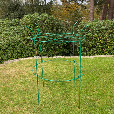 Pack of 3 Peony Circular Metal Plant Supports (90cm) DIY at B&Q
