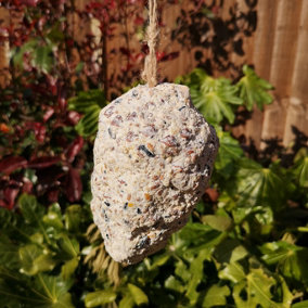 Pack of 3 Tom Chambers Wild Garden Bird Suet Pinecone Containing Suet and Seeds with Hanging String