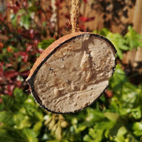 Pack of 3 Wild Garden Bird Suet and Seed filled Coconut Feeder Half with Hanging String