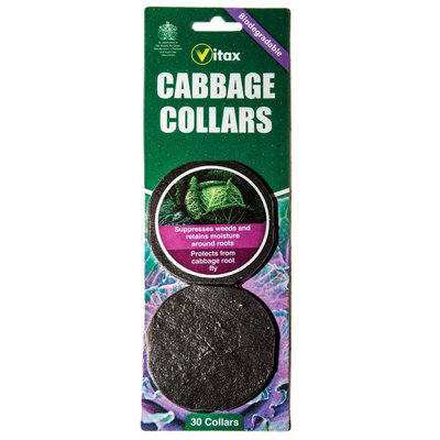 Pack of 30 Biodegradeable Cabbage Collars Protects Brassicas from ...