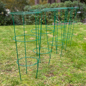 Pack of 5 Conical Garden Plant Support Rings (60cm)