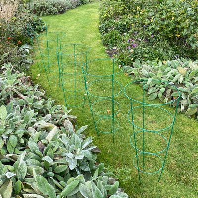Pack of 5 Conical Garden Plant Support Rings (75cm) at B&Q