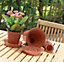 Pack of 5 Plant Pot Saucers Plastic Terracotta Colour for 5 & 6 Inch Pots