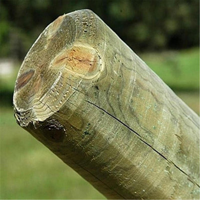 Pack of 5 (Total 5 Units) - Premium Green Treated Chamfered & Unpointed ...