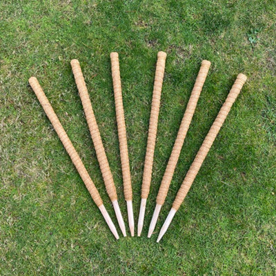 Pack of 6 Coco Fibre Palm Stick Plant Supports (80cm)