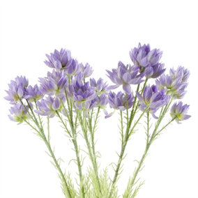 Pack of 6 x 60cm Purple Starflower Stem - 5 Flowers