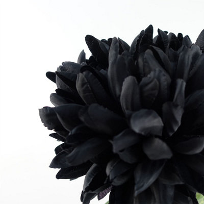 Pack of 6 x 75cm Extra Large Reflex Chrysanthemum - Black
