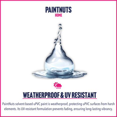 PaintNuts UPVC Door & Window Gloss Paint - Anthracite Grey - 400ml Spray Can (RAL7016)