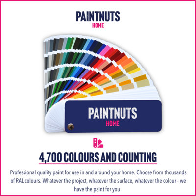PaintNuts UPVC Door & Window Gloss Paint - Anthracite Grey - 400ml Spray Can (RAL7016)